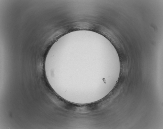 X0000115740309200911121108