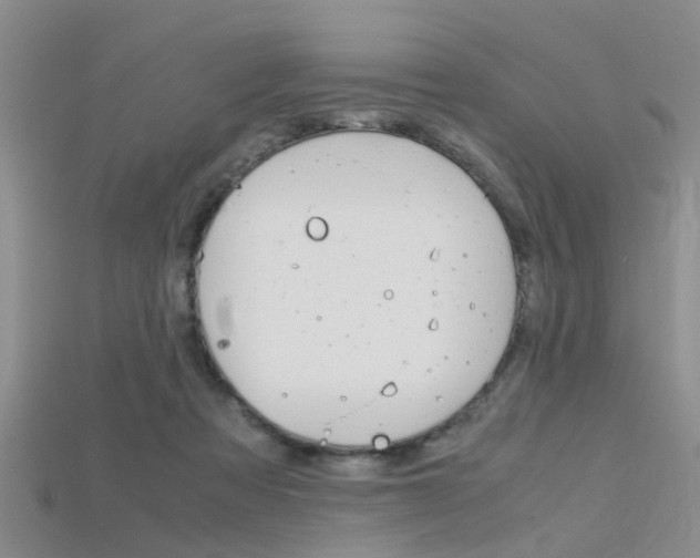 X0000115740313200911121107