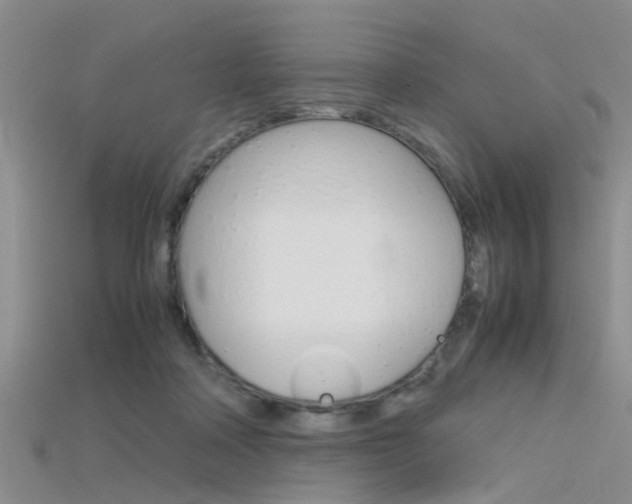 X0000115740314200911121107