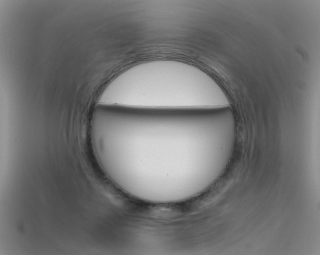 X0000115740315200911121107