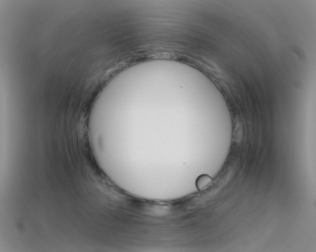 X0000115740318200911121107