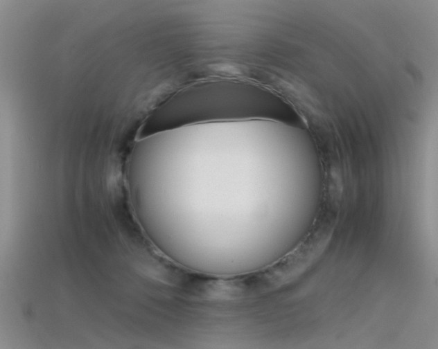 X0000115740320200911121107