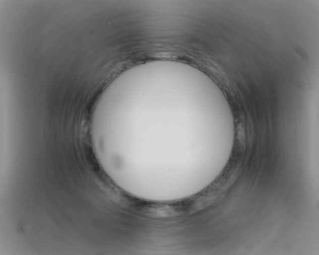 X0000115740322200911121107