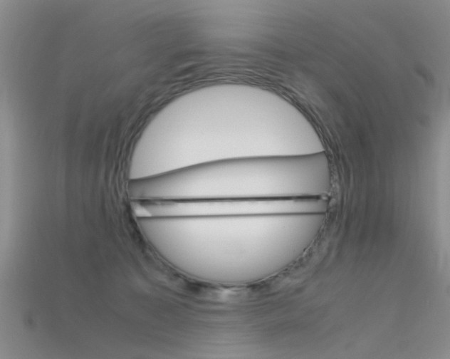 X0000115740323200911121107