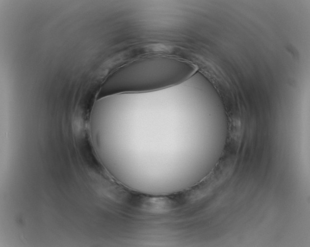 X0000115740324200911121107