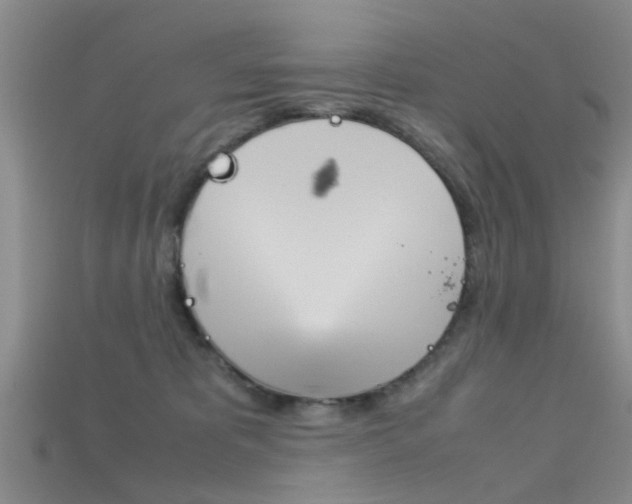 X0000115740325200911121107