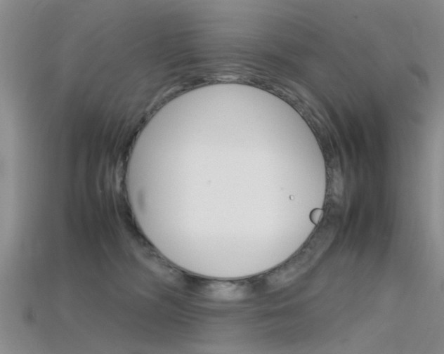 X0000115740326200911121107