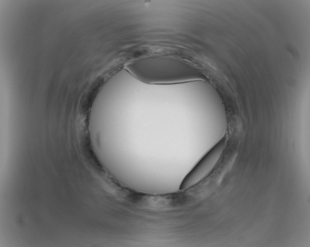 X0000115740327200911121107