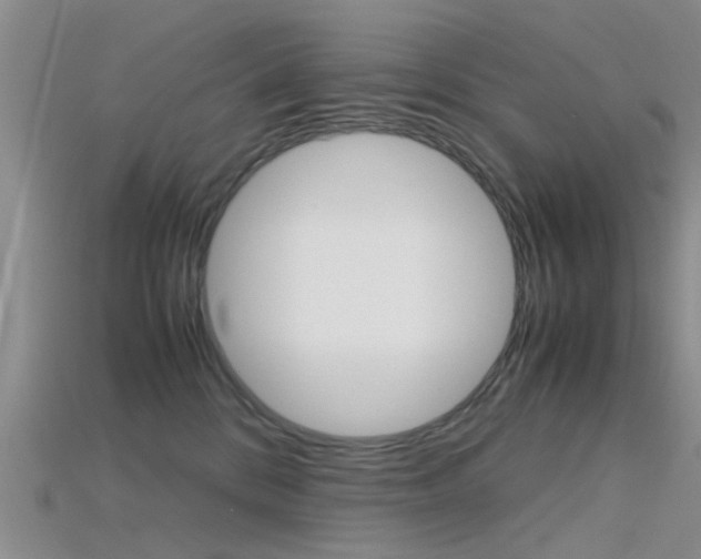 X0000115740328200911121107