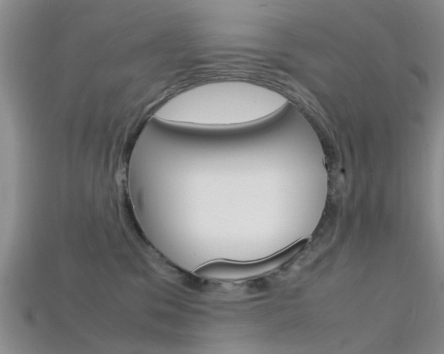 X0000115740329200911121107