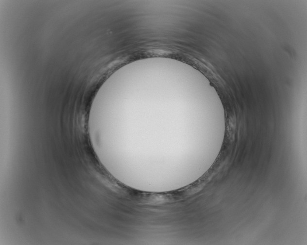 X0000115740330200911121107