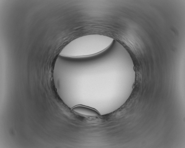 X0000115740331200911121107