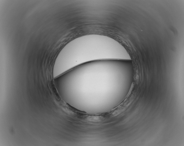 X0000115740332200911121107