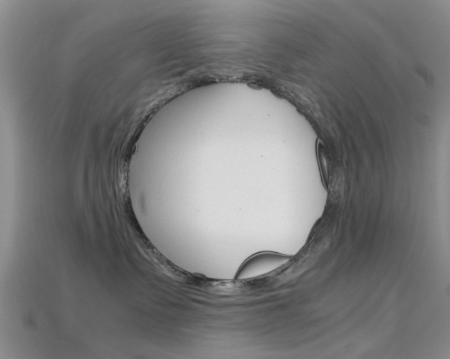X0000115740335200911121107