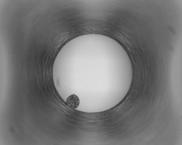 X0000115740336200911121107