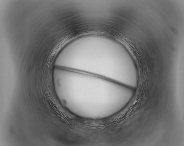 X0000115740337200911121107