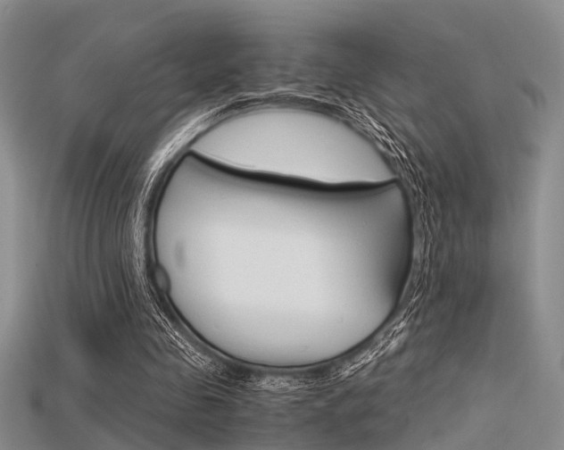 X0000115740341200911121107