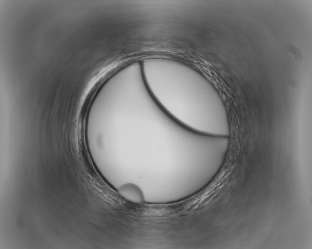 X0000115740342200911121107