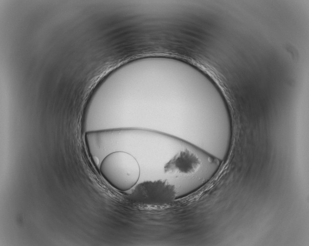 X0000115740345200911121107