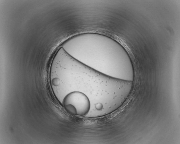 X0000115740346200911121107