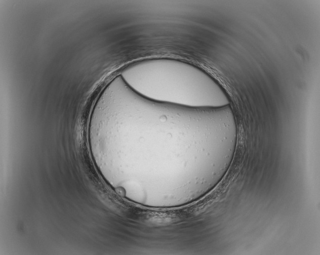 X0000115740347200911121107