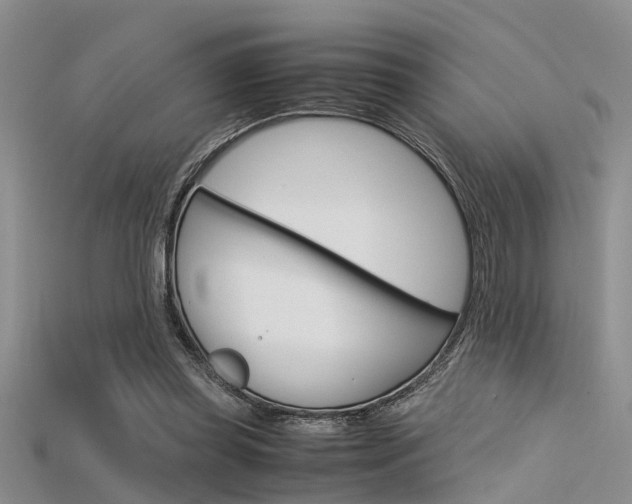 X0000115740349200911121107