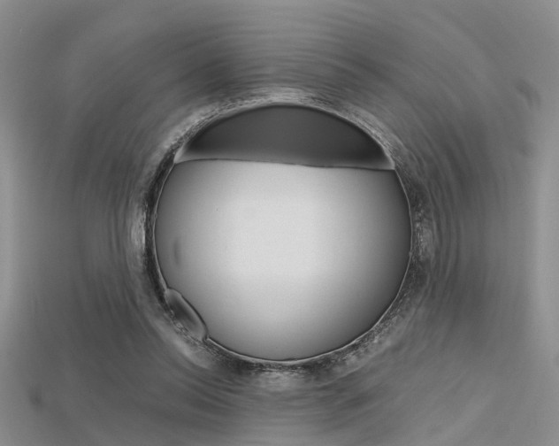 X0000115740350200911121107