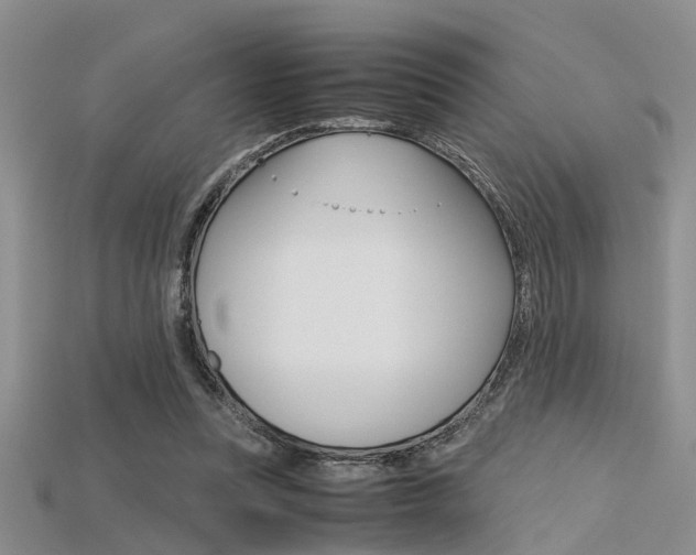 X0000115740351200911121107