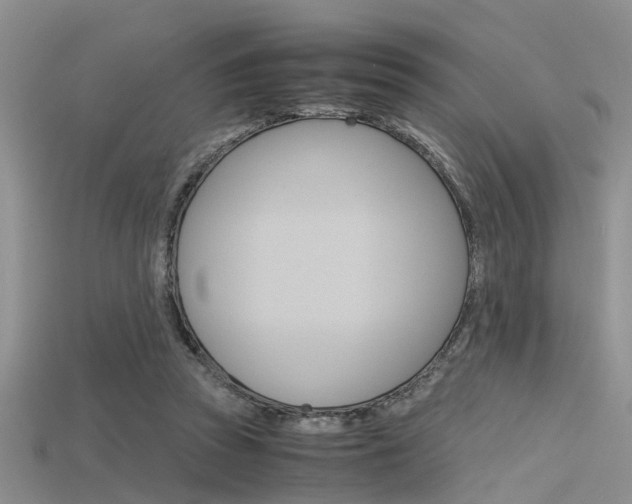 X0000115740353200911121107