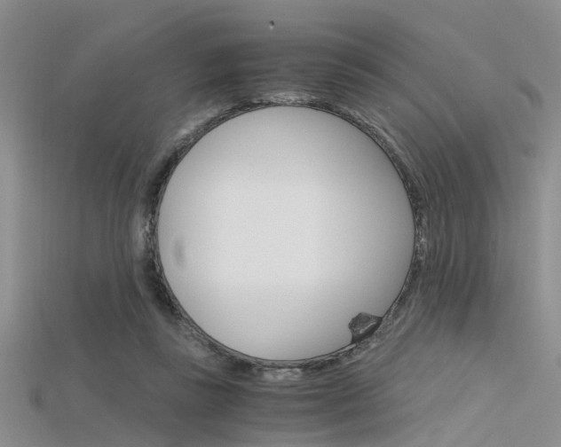 X0000115740355200911121107