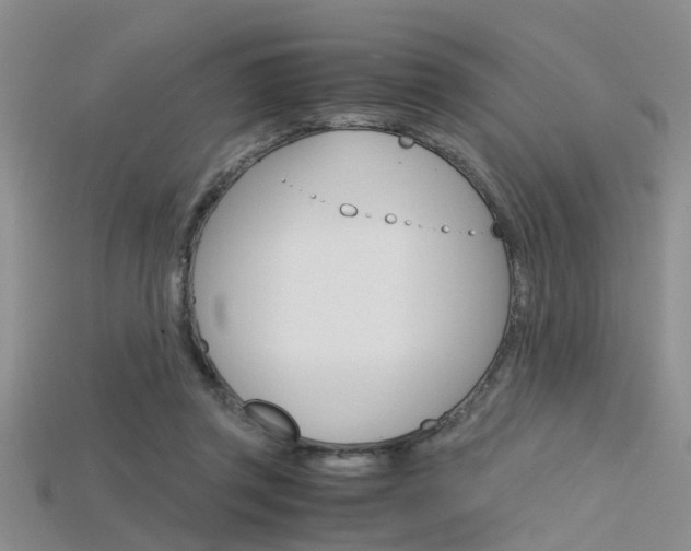 X0000115740357200911121107
