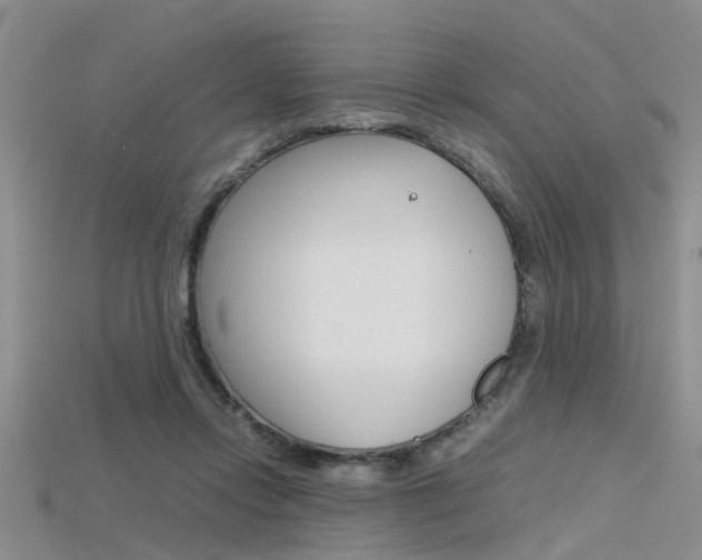 X0000115740358200911121107