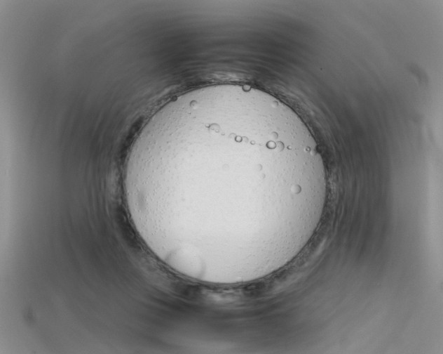 X0000115740359200911121107