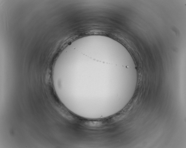 X0000115740361200911121107