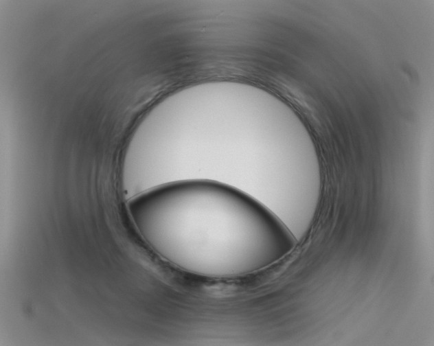 X0000115740362200911121107