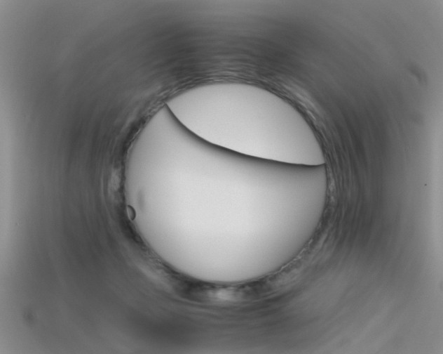 X0000115740365200911121107