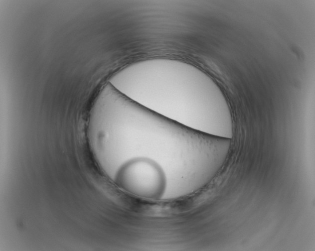 X0000115740366200911121107