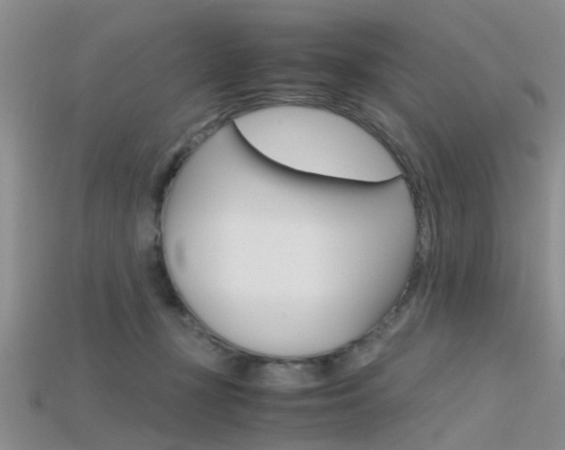 X0000115740367200911121107