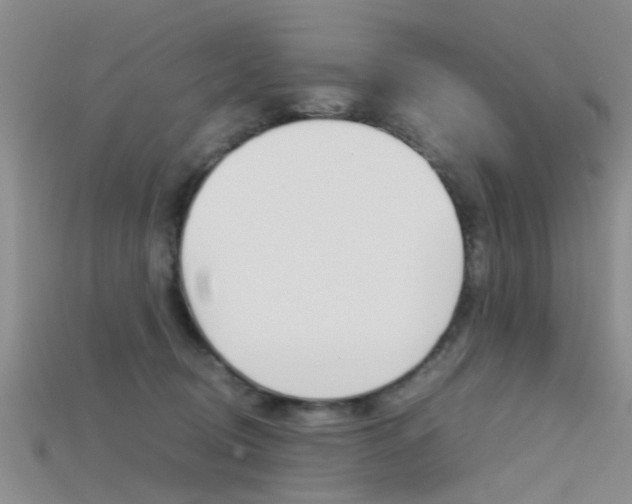 X0000115740370200911121107