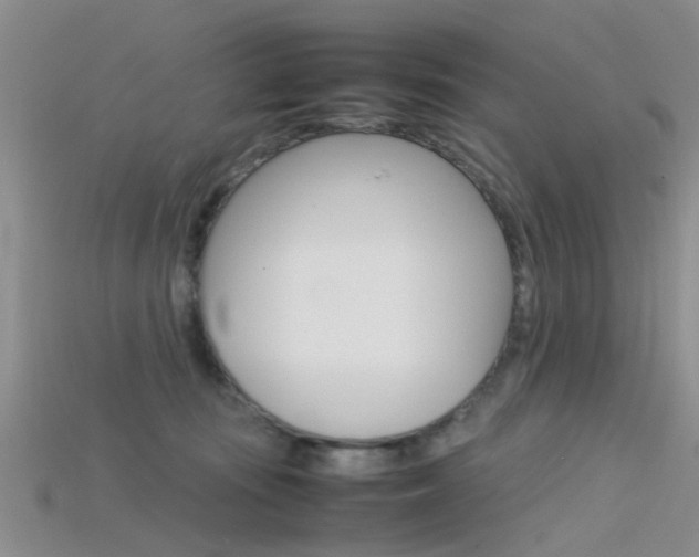 X0000115740371200911121107