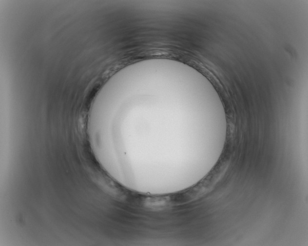 X0000115740373200911121107