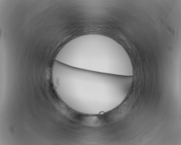 X0000115740374200911121107