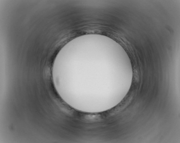 X0000115740375200911121107