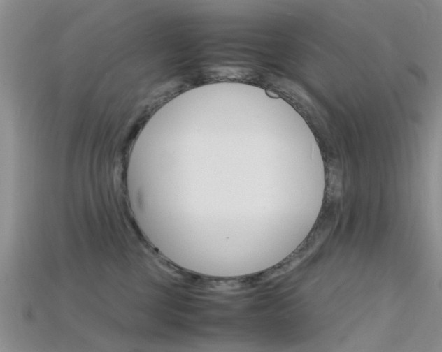 X0000115740377200911121107