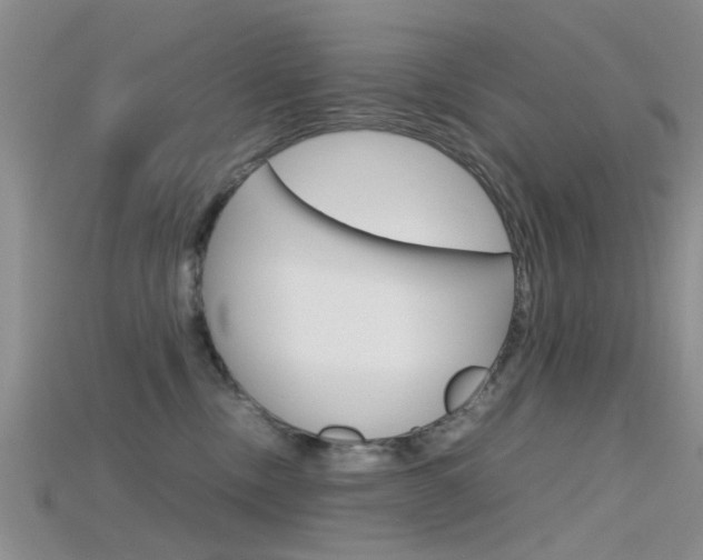 X0000115740378200911121107