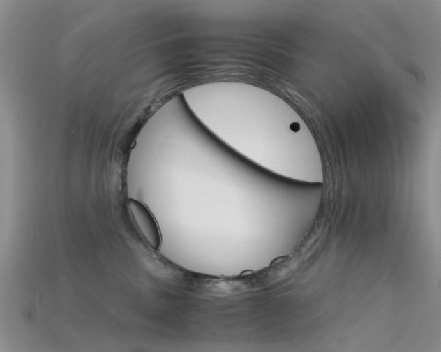 X0000115740379200911121107