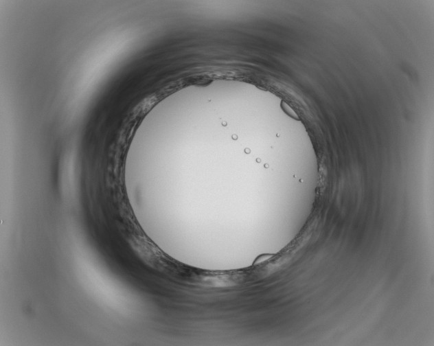 X0000115740381200911121107