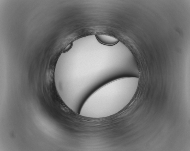 X0000115740382200911121107