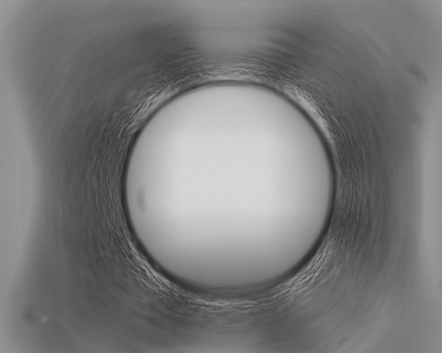 X0000115740385200911121107