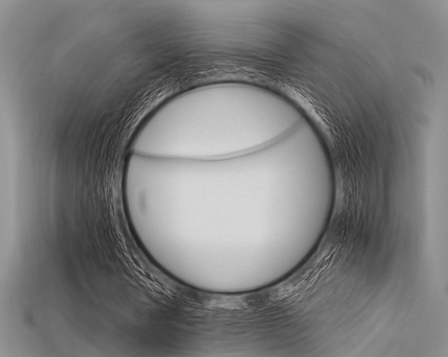 X0000115740386200911121107